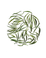竹叶青绿茶