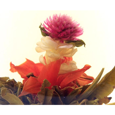 1 kg Großhandelspreis 'Orientalische Schönheit' Erblüh-Tee - Jasmine, Lily, Amaranth Blühender Tee