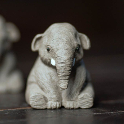 baby elephant tea pet