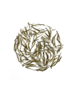Fujian Weißer Silbernadel Tee - Bai Hao Yin Zhen