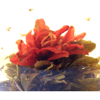 Té de flores 'Lirio Osmanthus' - Bolas de té de flores