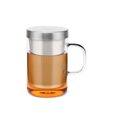 Mug à thé en verre avec infuseur et couvercle en acier inox (500ml)