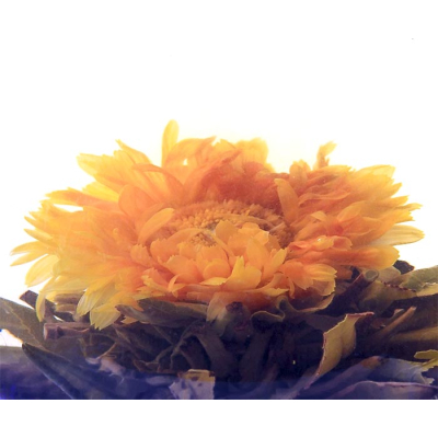All'ingrosso 1 kg: Fiori di tè 'Marigold Blossom' Blooming Tea