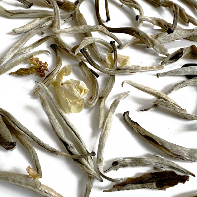 Té bianco Aghi d' Argento al Gelsomino (Bai Hao Yin Zhen) - Jasmine Silver Needle White Tea