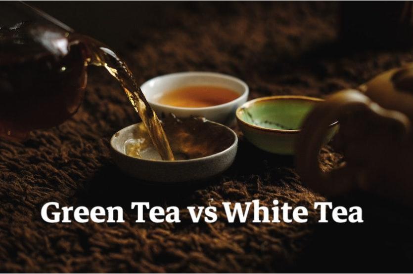 White Tea vs Green Tea: Everything You Need To Know
