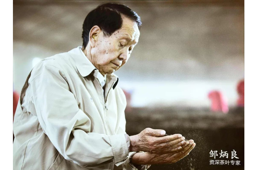 The Haiwan Tea Factory's Founder: Zou Bingliang