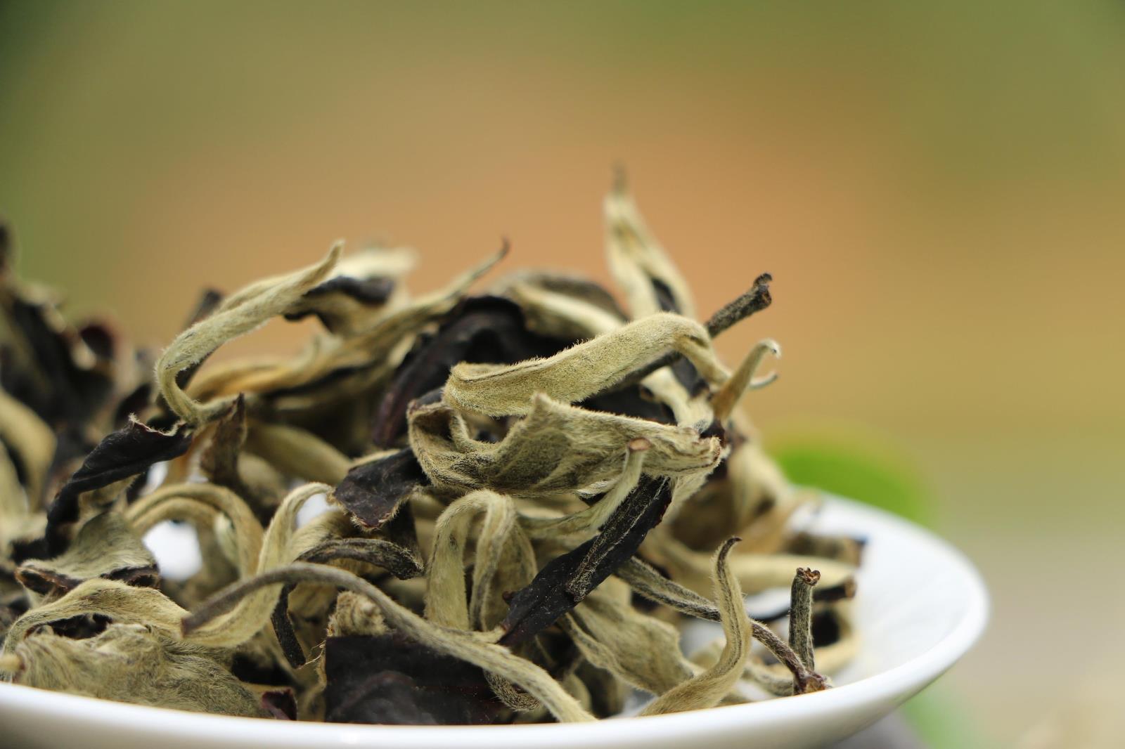 El origen del té blanco luz de luna