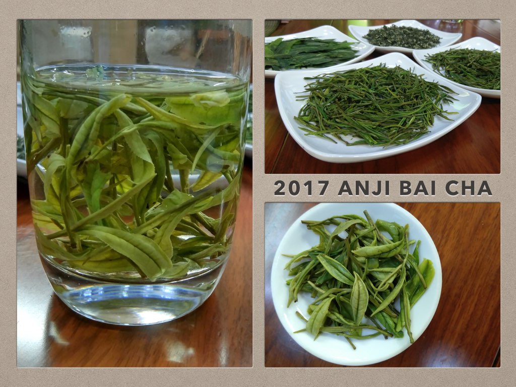 teasenz 2017 anji bai anji white green tea