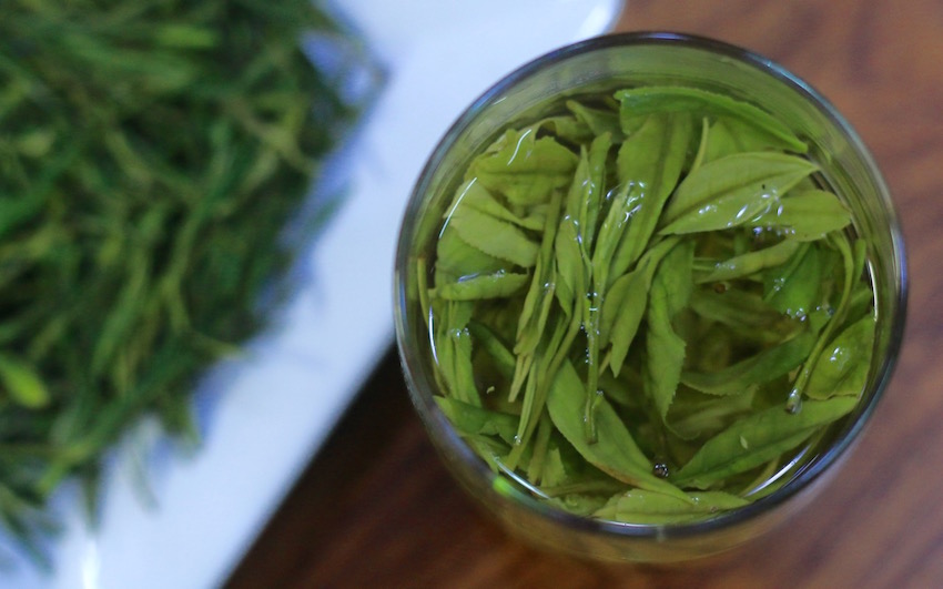 2016 spring green teas - anji bai cha tasting
