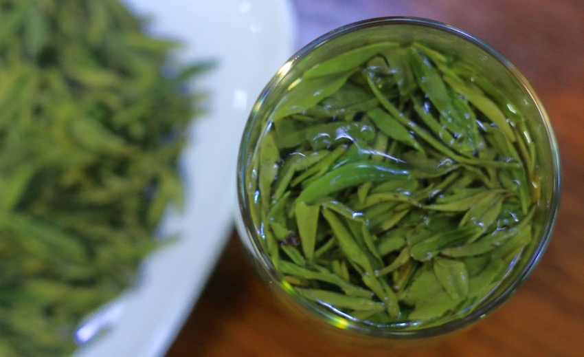 2016 spring green teas - west lake dragon well steeping in glass