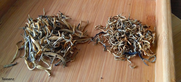 dian hong dry appearance of leaves