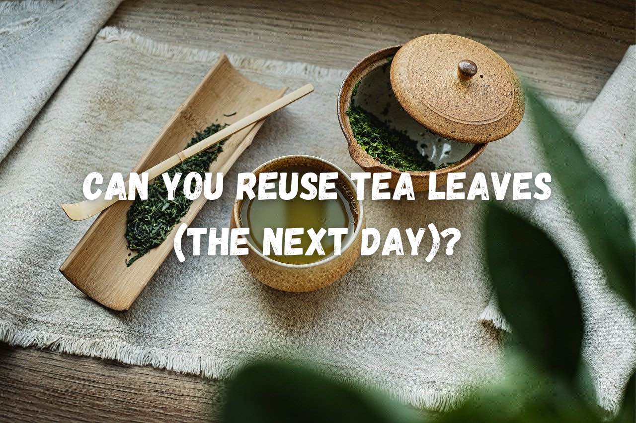 can you reuse tea leaves the next day