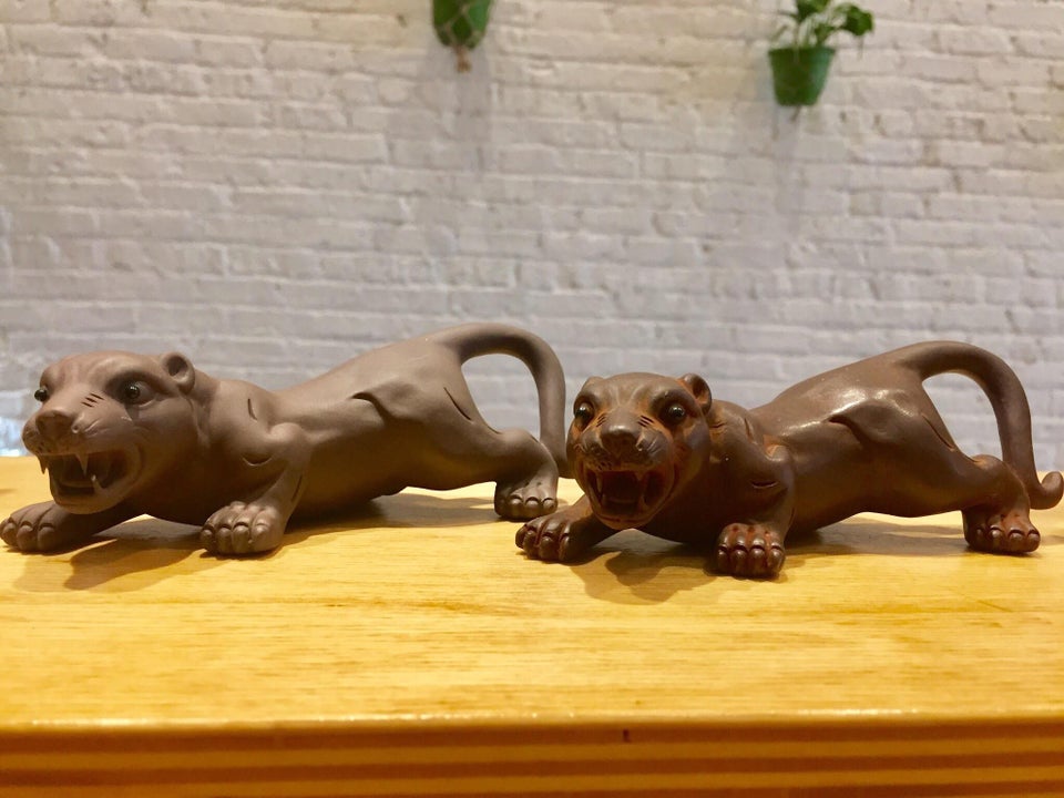 tea pet before after