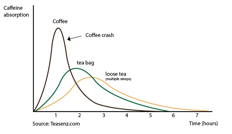 coffee loose tea and bags caffeine absorption