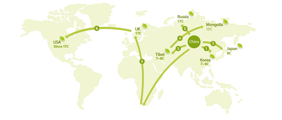 history of tea - world map