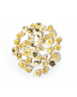Witte Chrysanten thee - Chrysanthemum thee