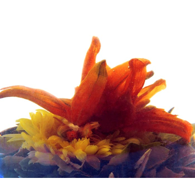 1 kg ”Liljeprinsessa” med Liljor och Ringblommor - Blommande Teboll till Grossistpris
