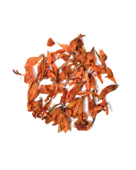 Liljeblomste - Vackra Orangea Blommor